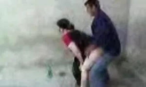 Uzbekfo a wɔn ho ako ...